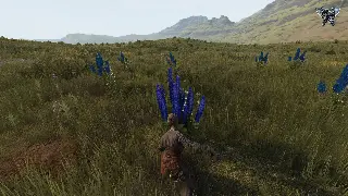 《烈焰》不止是复古！深度解析这款游戏的独特魅力